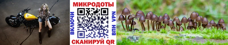 Псилоцибиновые грибы мицелий  купить закладку  Сураж 